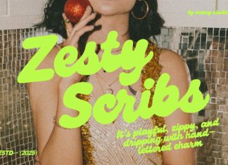 Zesty Scribs – A Playful Script Font preview image 1