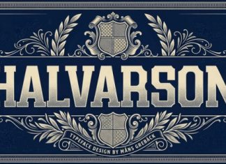 Halvarson Font preview image 1