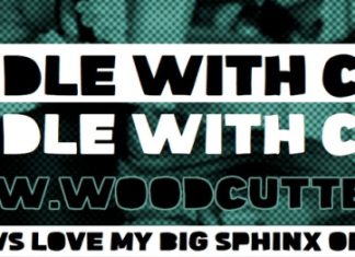Handle With Care Font preview image 1